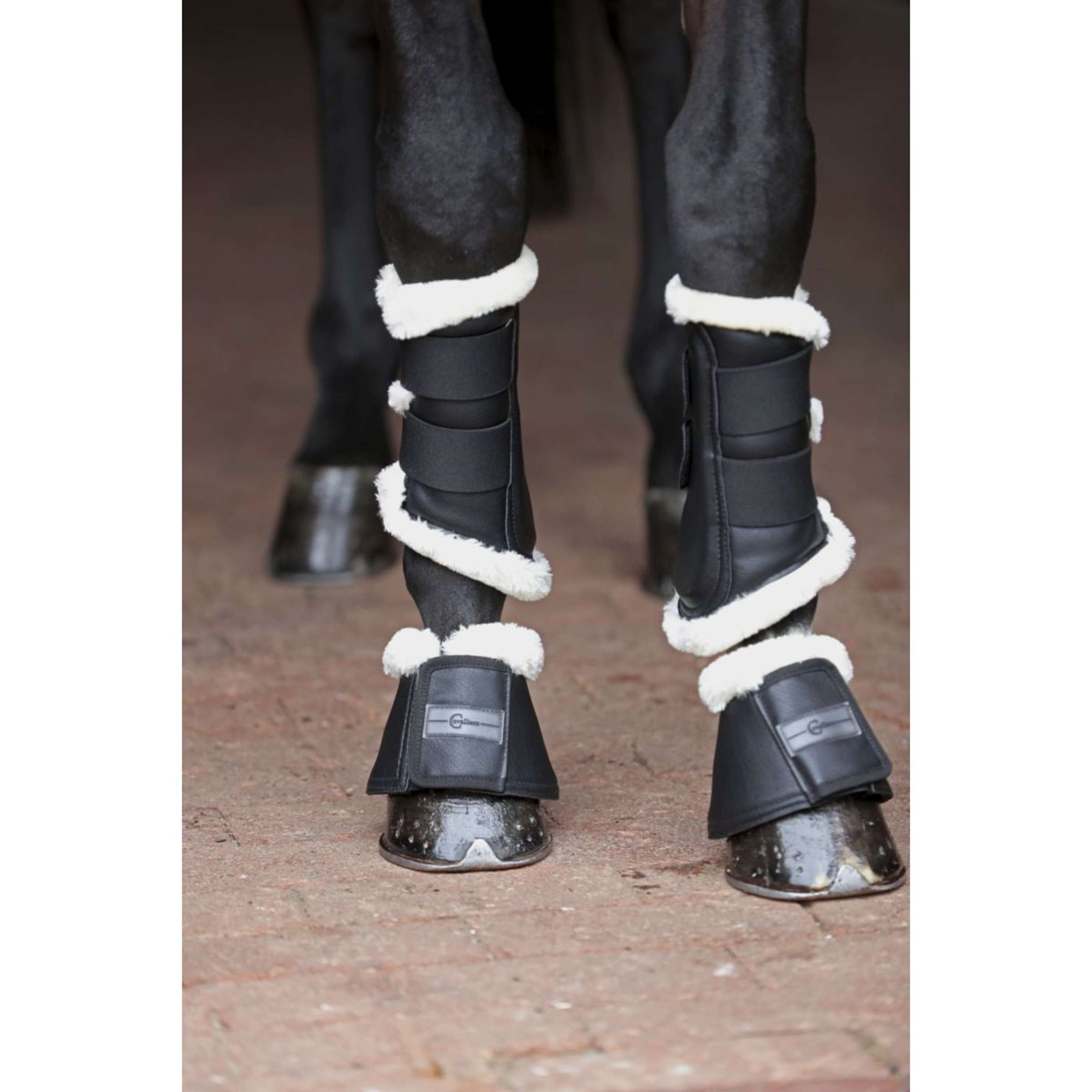 Covalliero Hufglocken Pelisa Schwarz