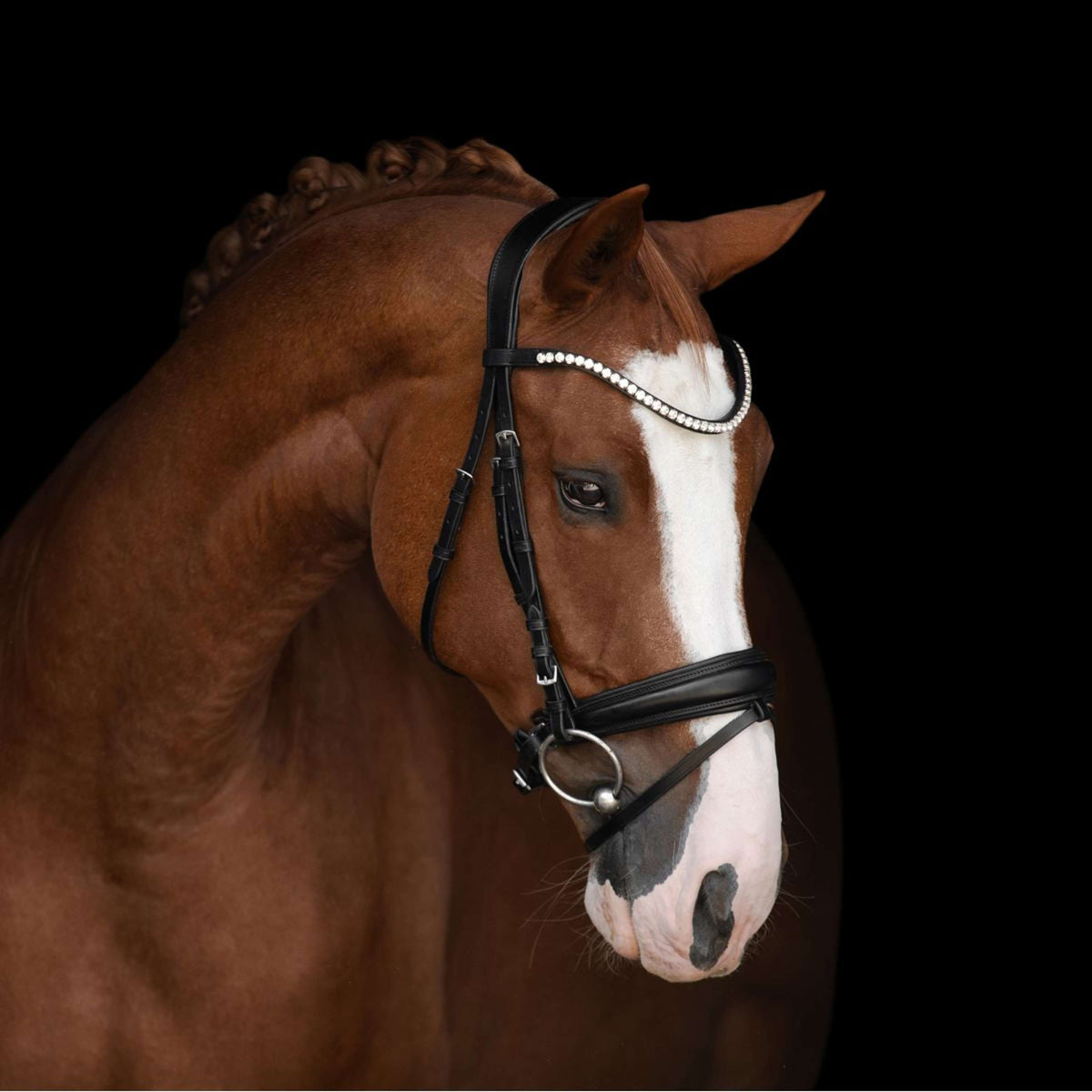 Kieffer Zaum Victoria II Schwarz