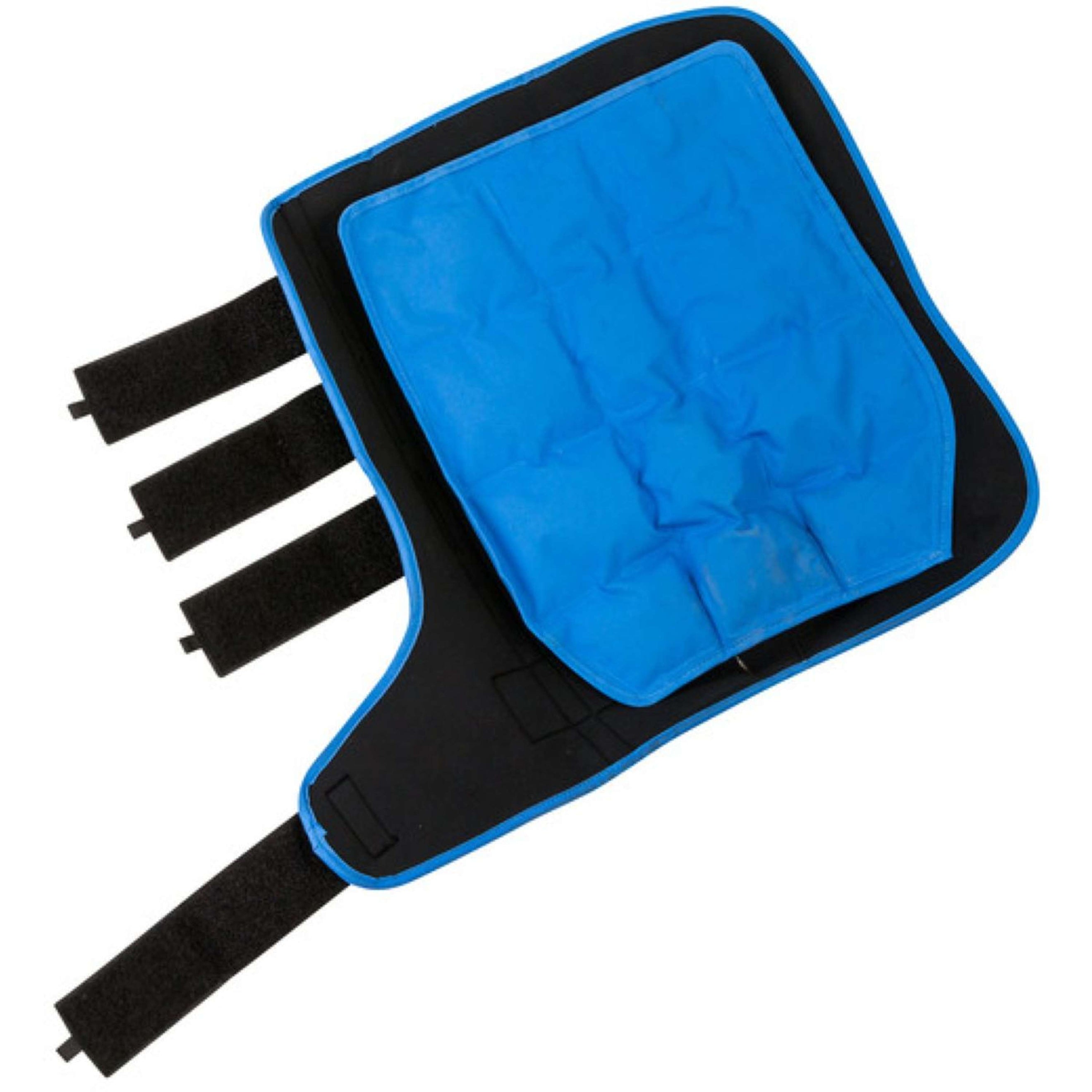 Lami-Cell Ice Boots Schwarz/Blau