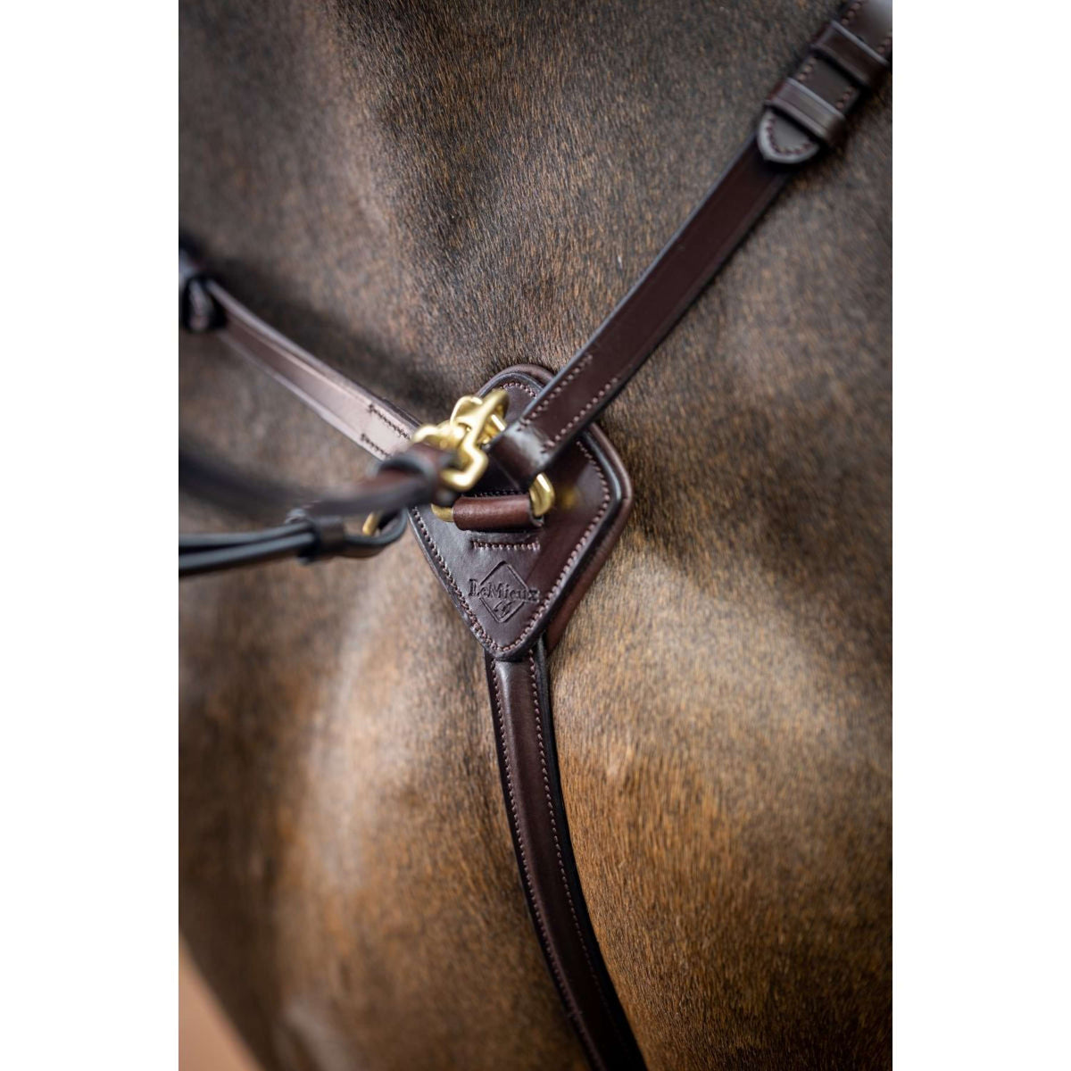 LeMieux Kudos Martingal Breastplate Detachable Havanna