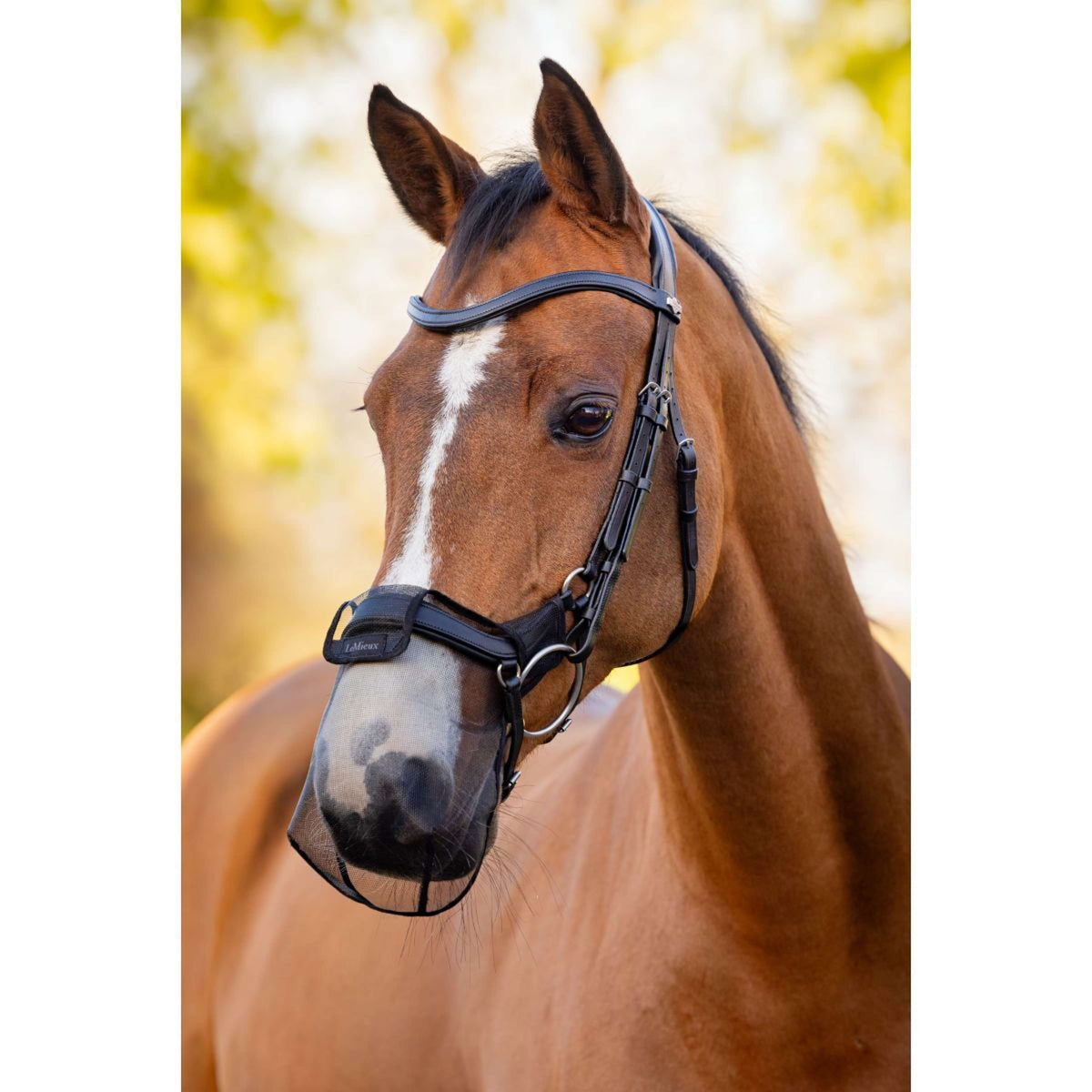 LeMieux Nasenschutz Drop Schwarz