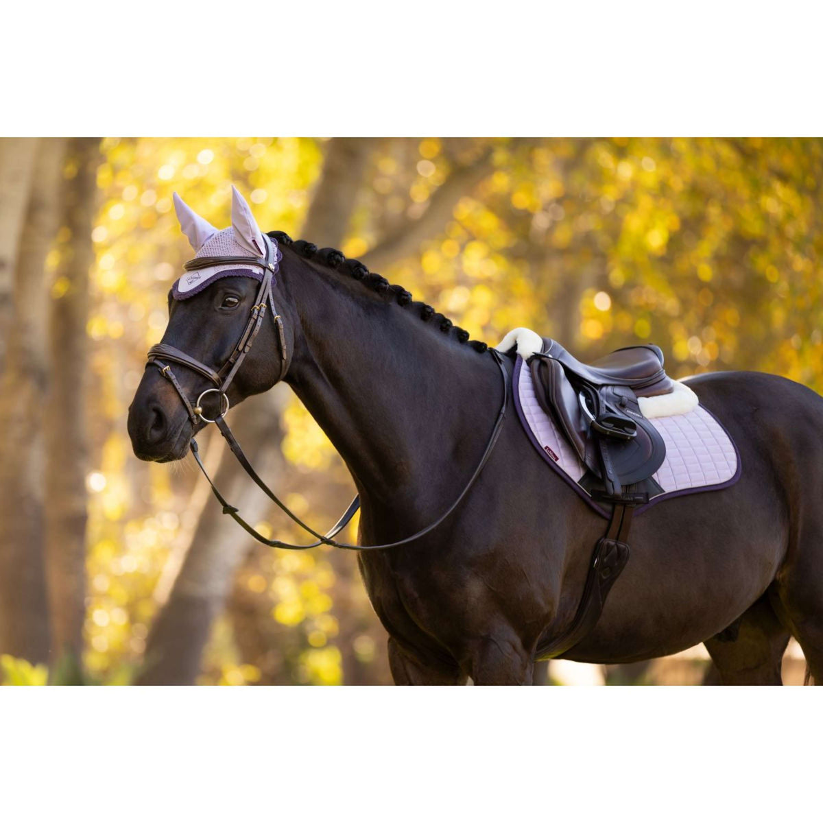 LeMieux Fliegenhaube Classic Lila