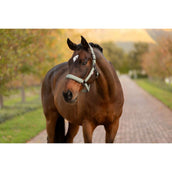 LeMieux Halfter Essence Rosemary