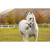 LeMieux Halfter Ropella Cranberry