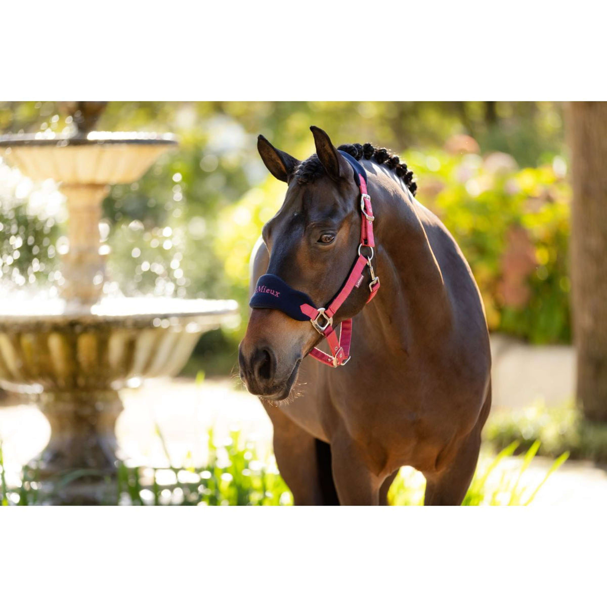 LeMieux Halfterset Vogue Cranberry