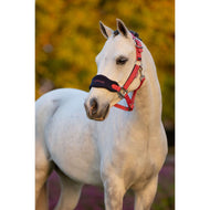 LeMieux Halfterset Mini Vogue Cranberry