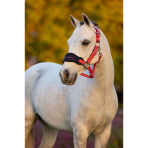 LeMieux Halfterset Mini Vogue Cranberry