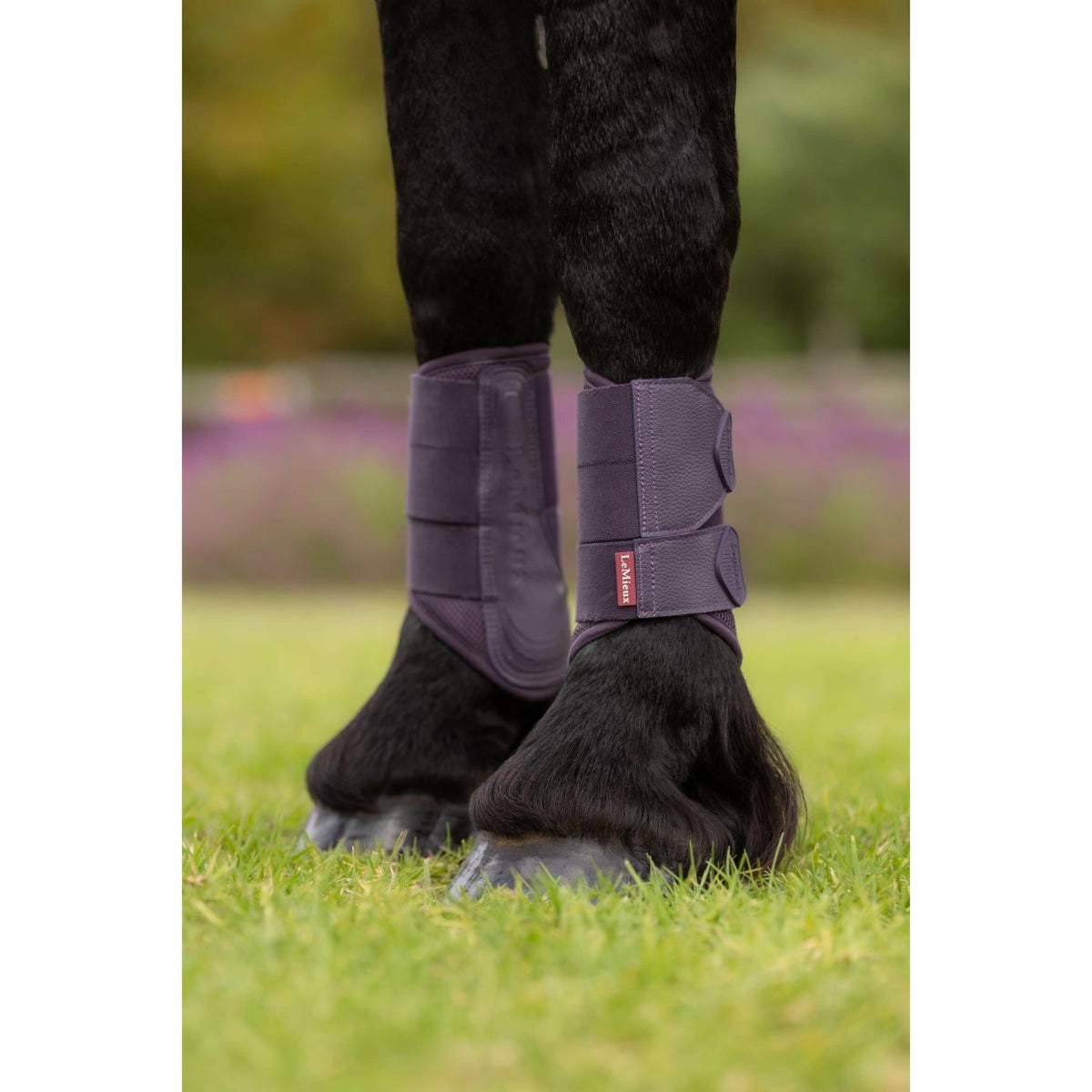 LeMieux Fesselkopfgamaschen Arika Mesh Juniper