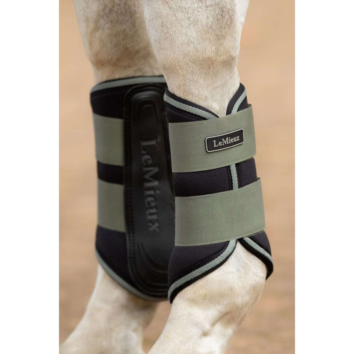 LeMieux Fesselkopfgamaschen Grafter Rosemary