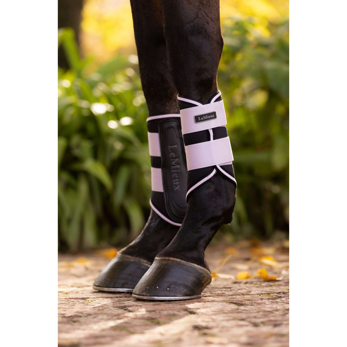 LeMieux Fesselkopfgamaschen Grafter Lila