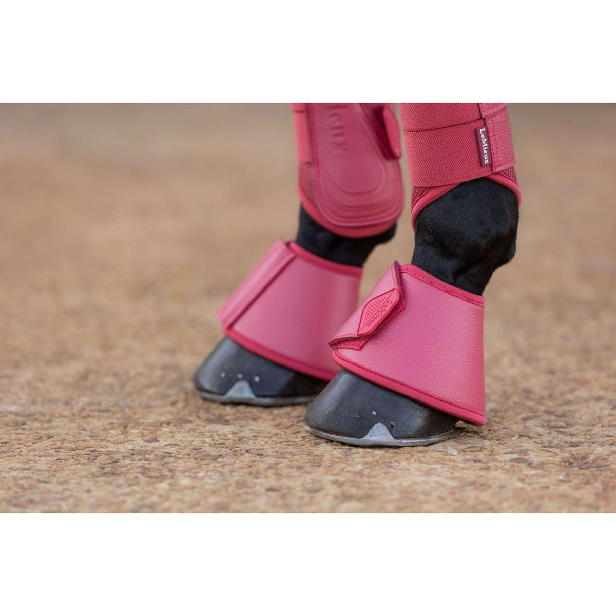 LeMieux Hufglocken Arika Cranberry