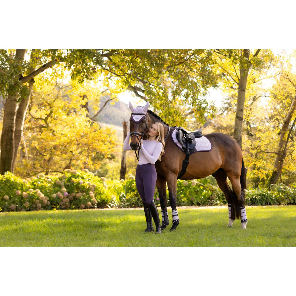 LeMieux Schabracke Suede Springen Lila