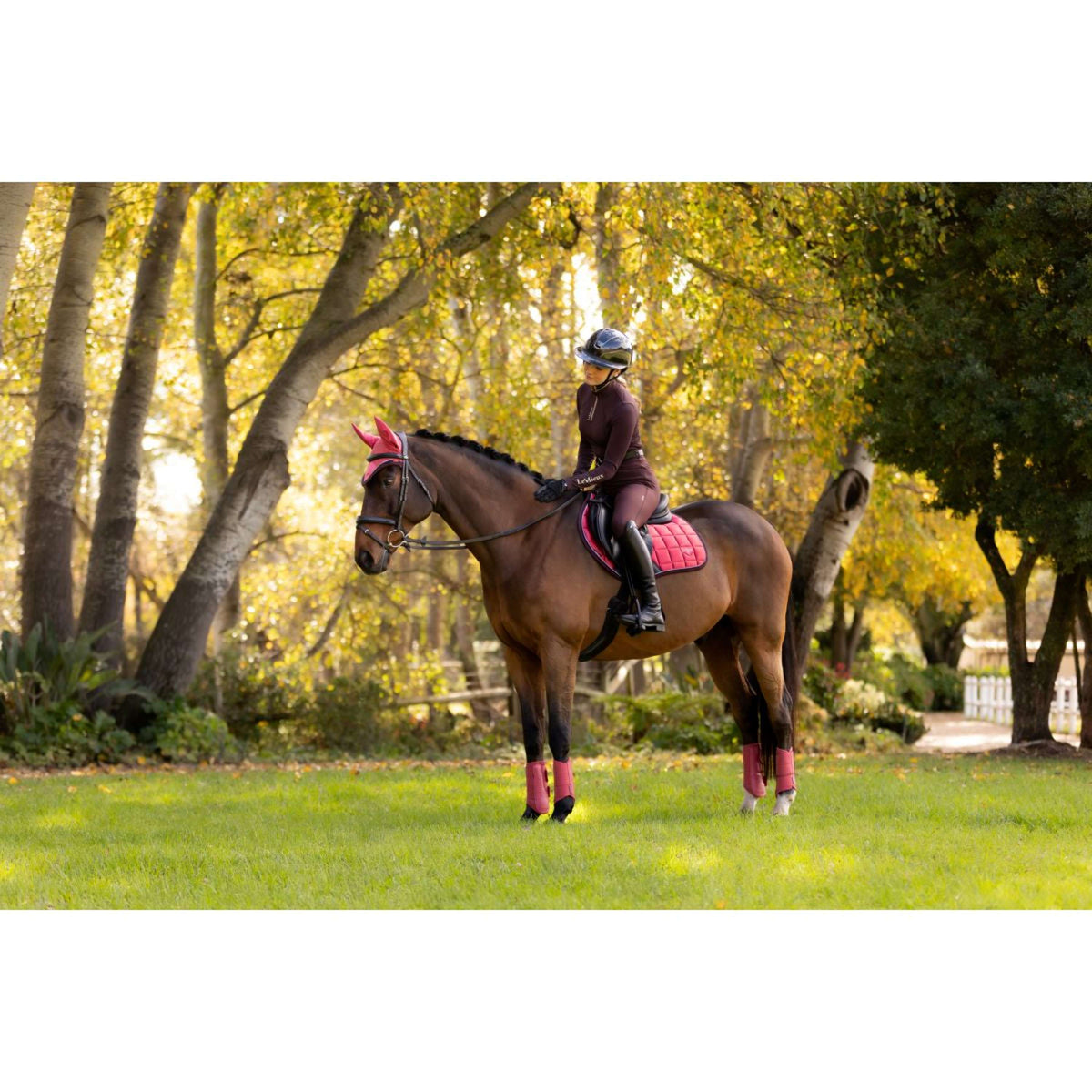 LeMieux Schabracke Loire Classic Springen Cranberry