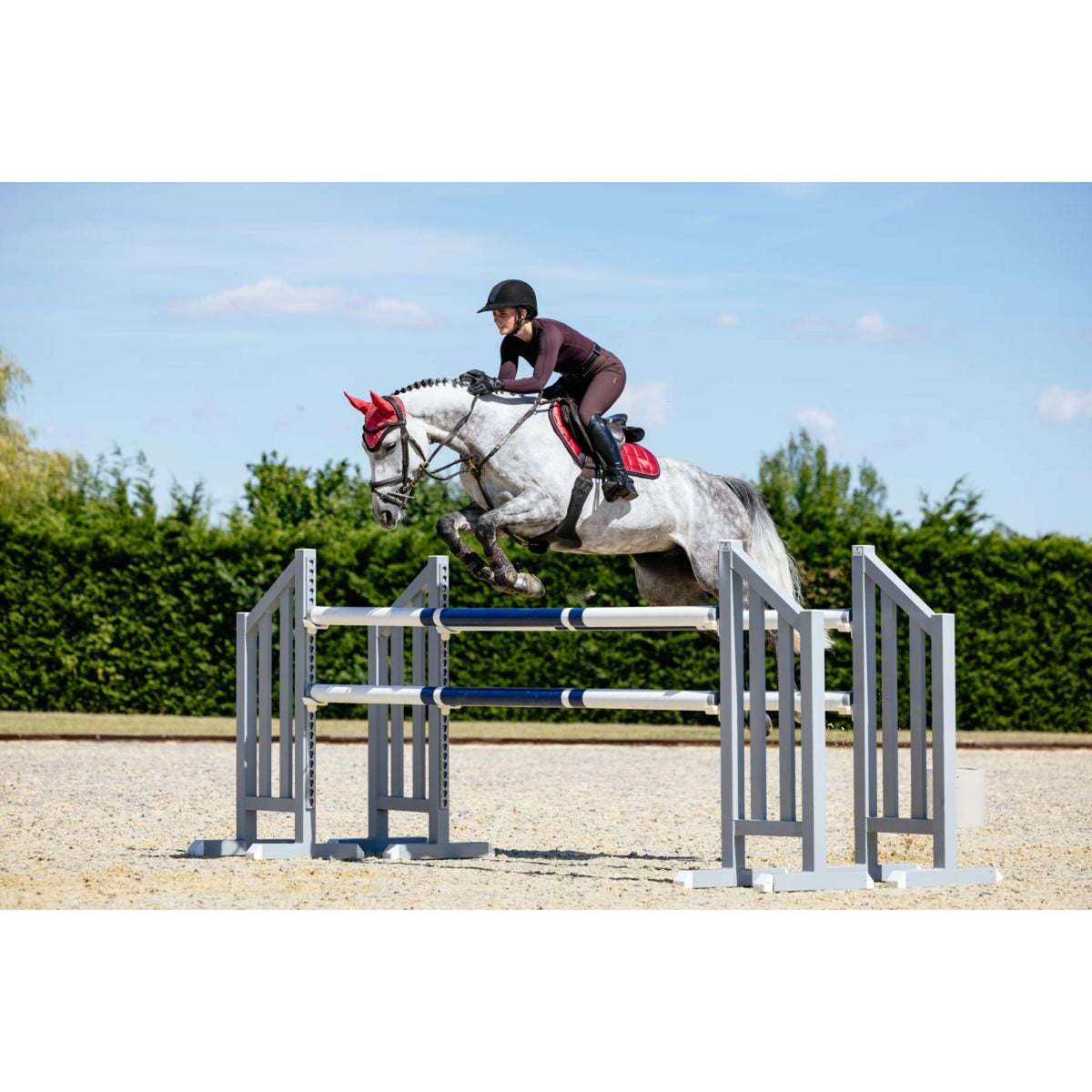 LeMieux Schabracke Loire Classic Springen Cranberry