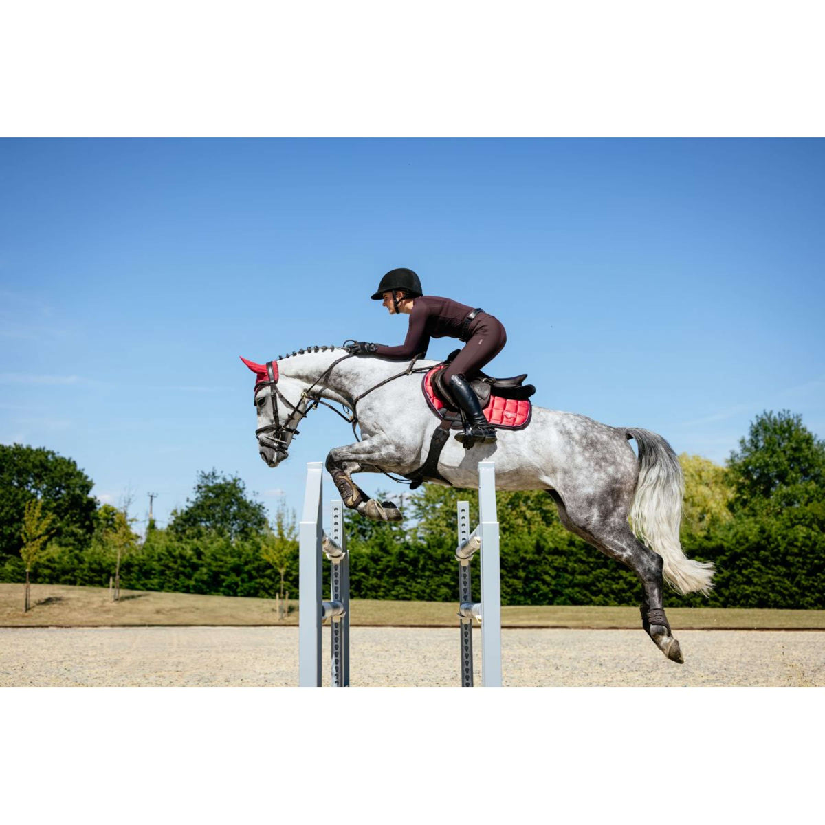 LeMieux Schabracke Loire Classic Springen Cranberry