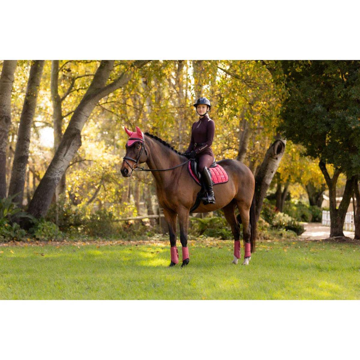 LeMieux Schabracke Loire Classic Springen Cranberry