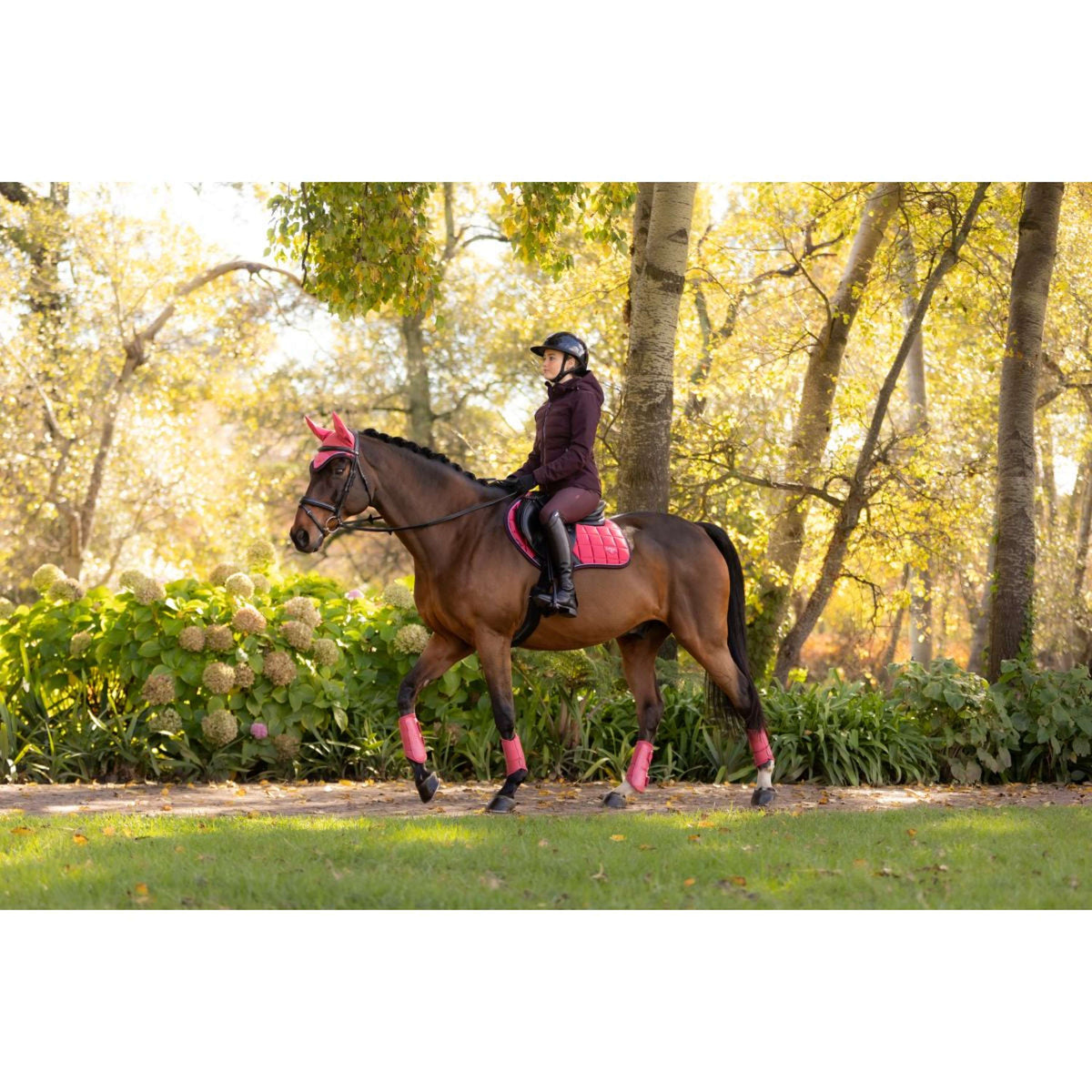 LeMieux Schabracke Loire Classic Springen Cranberry