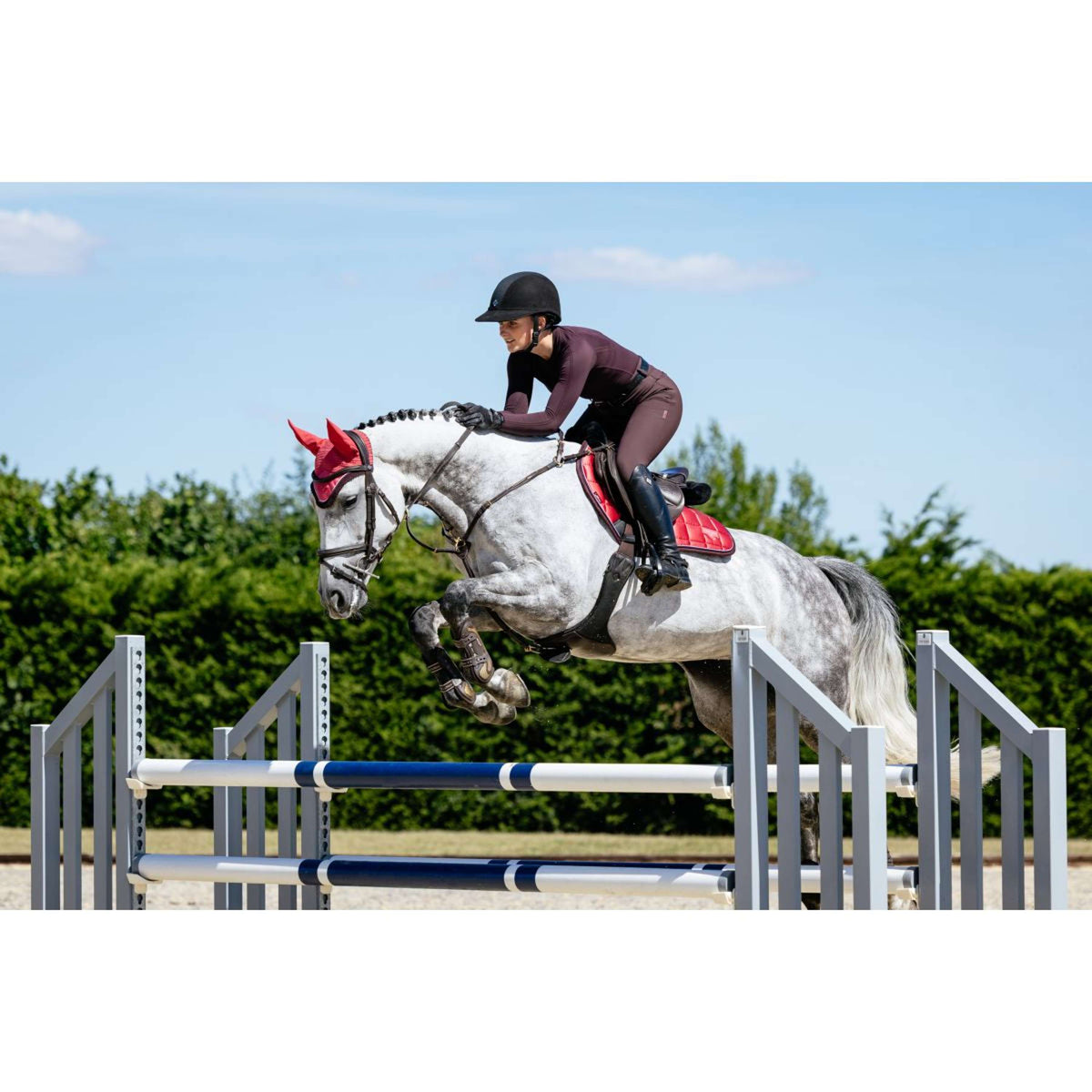 LeMieux Schabracke Loire Classic Springen Cranberry