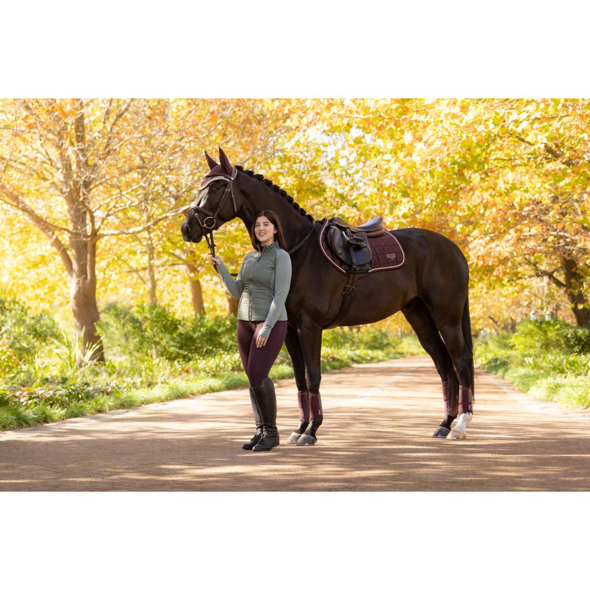 LeMieux Schabracke Loire Classic Springen Damaszenerpflaume