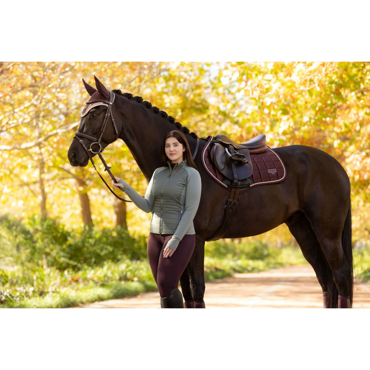 LeMieux Schabracke Loire Classic Springen Damaszenerpflaume