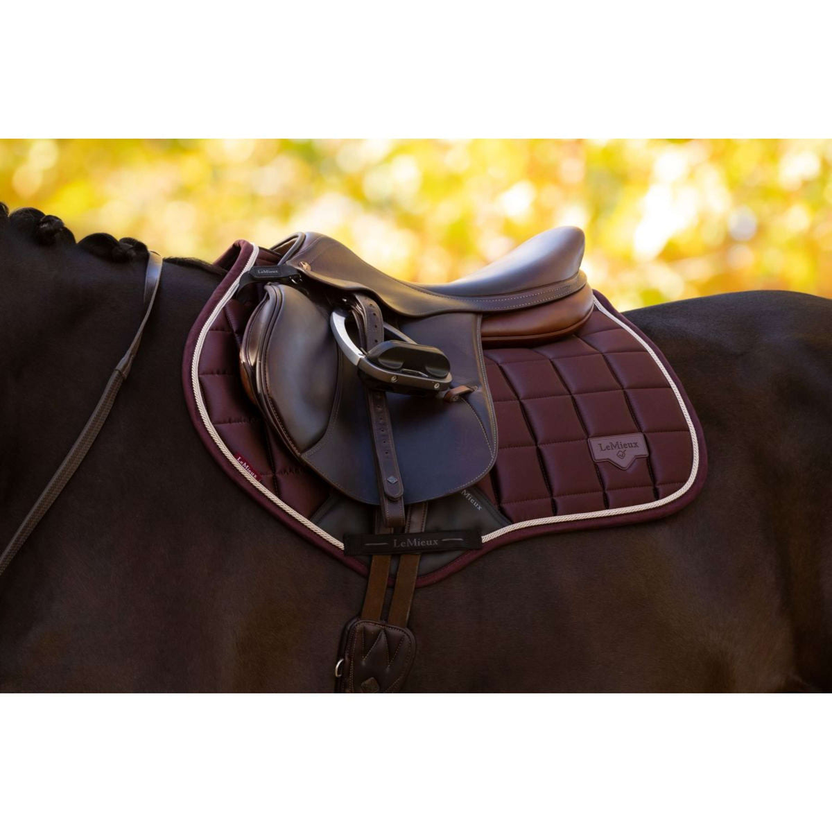 LeMieux Schabracke Loire Classic Springen Damaszenerpflaume