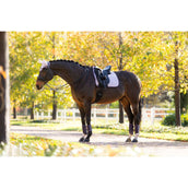 LeMieux Schabracke Suede Dressur Lila