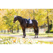 LeMieux Schabracke Suede Dressur Lila