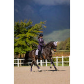 LeMieux Schabracke Suede Dressur Lila