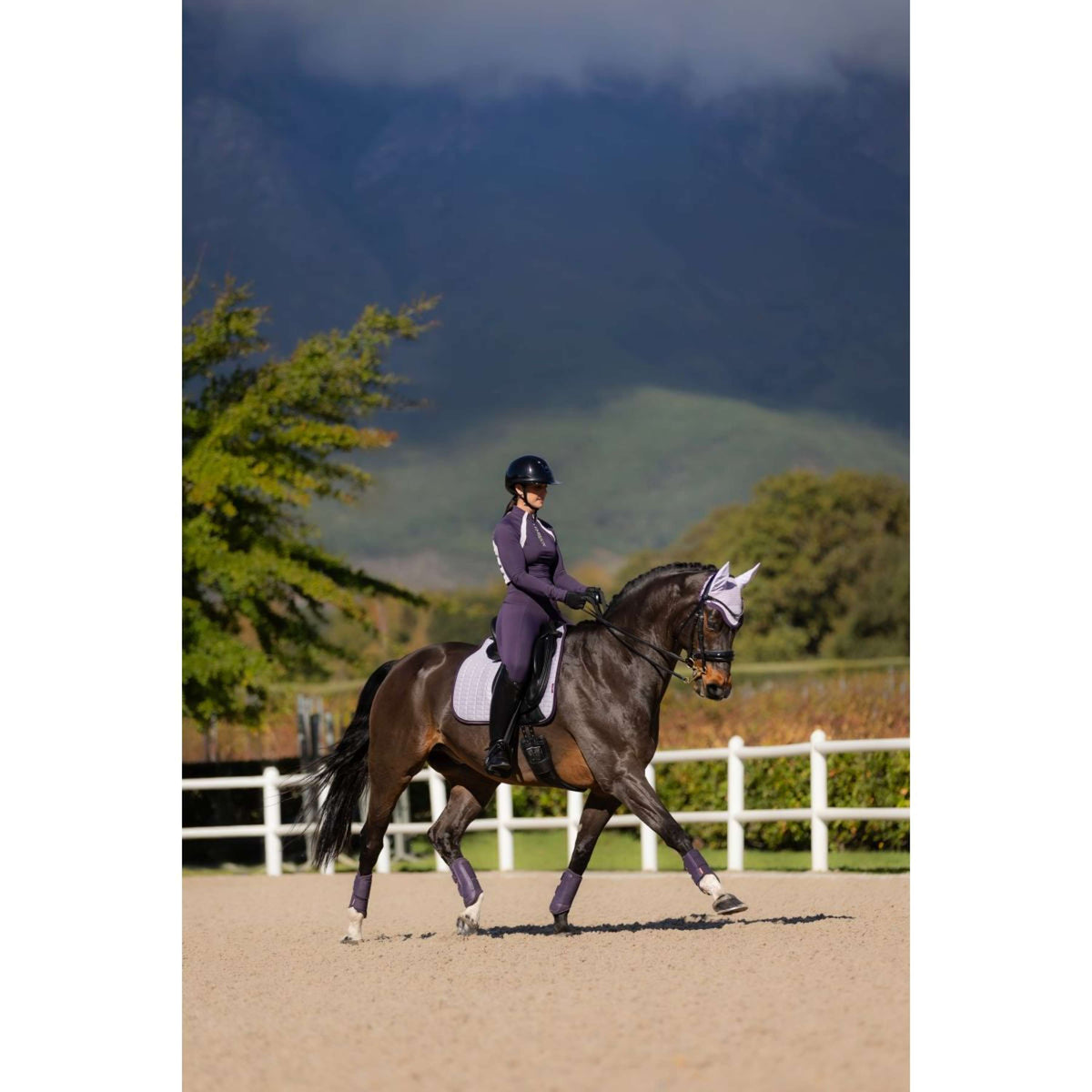 LeMieux Schabracke Suede Dressur Lila