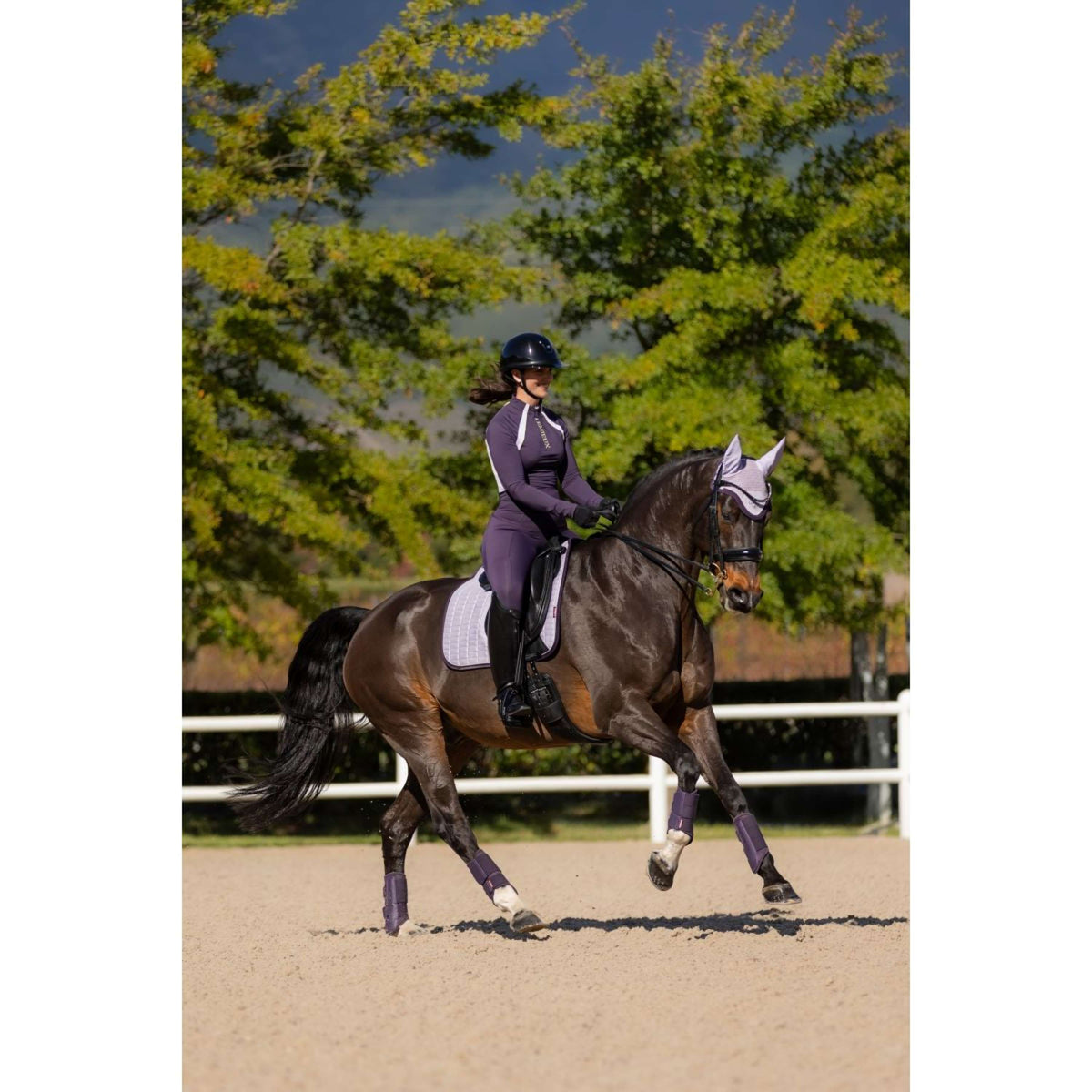 LeMieux Schabracke Suede Dressur Lila