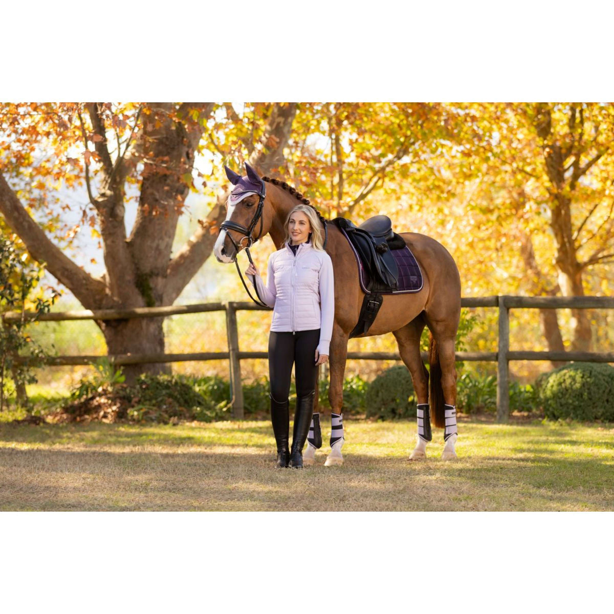 LeMieux Schabracke Merino Loire Classic Dressur Juniper