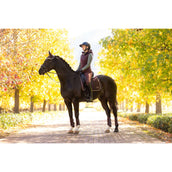 LeMieux Schabracke Loire Classic Dressur Damaszenerpflaume