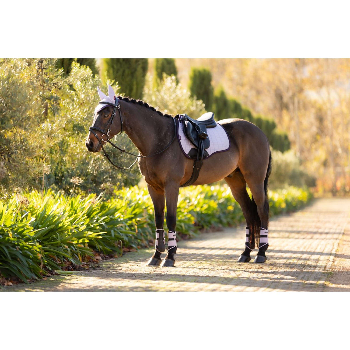 LeMieux Schabracke Suede Vielseitigkeit Lila