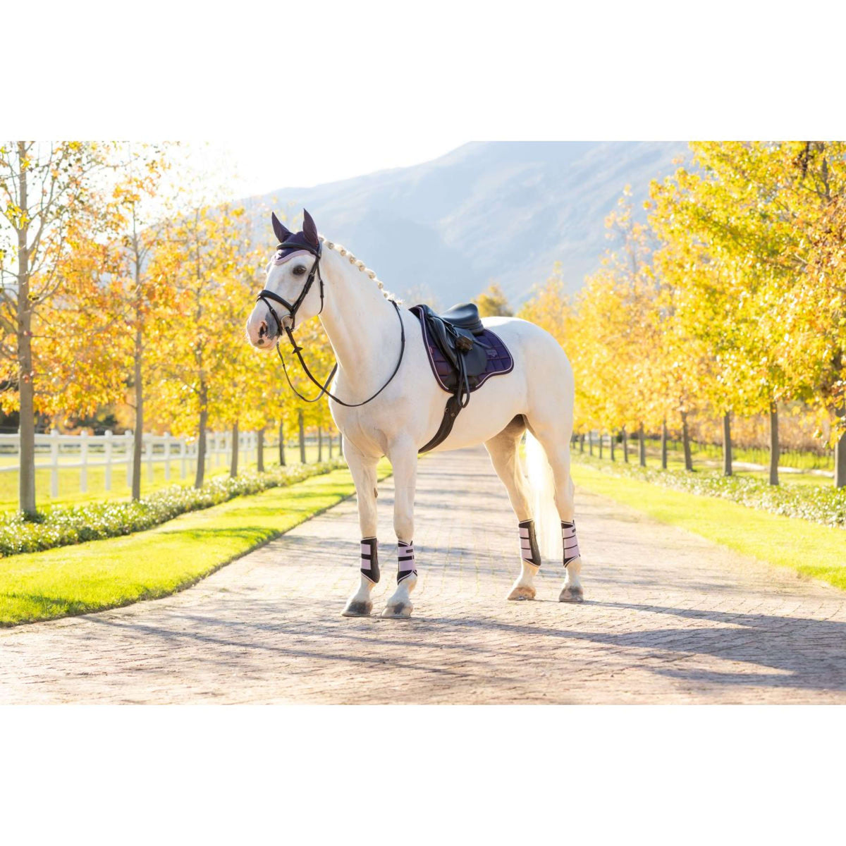 LeMieux Schabracke Loire Classic Vielseitigkeit Juniper