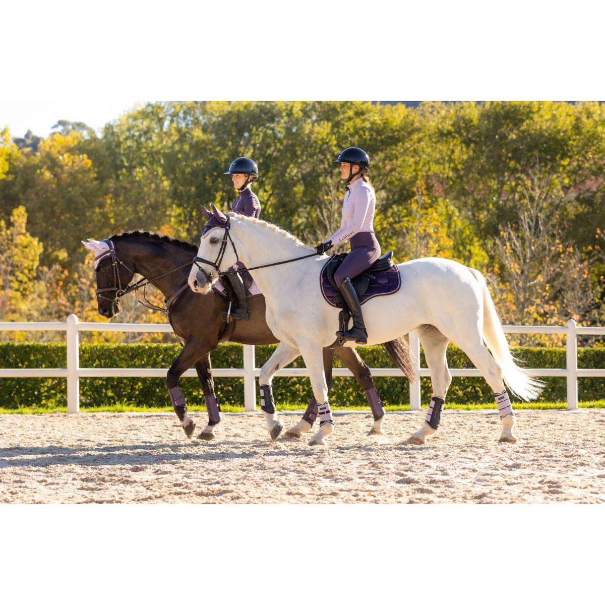 LeMieux Shirt Base Layer Classique Lila