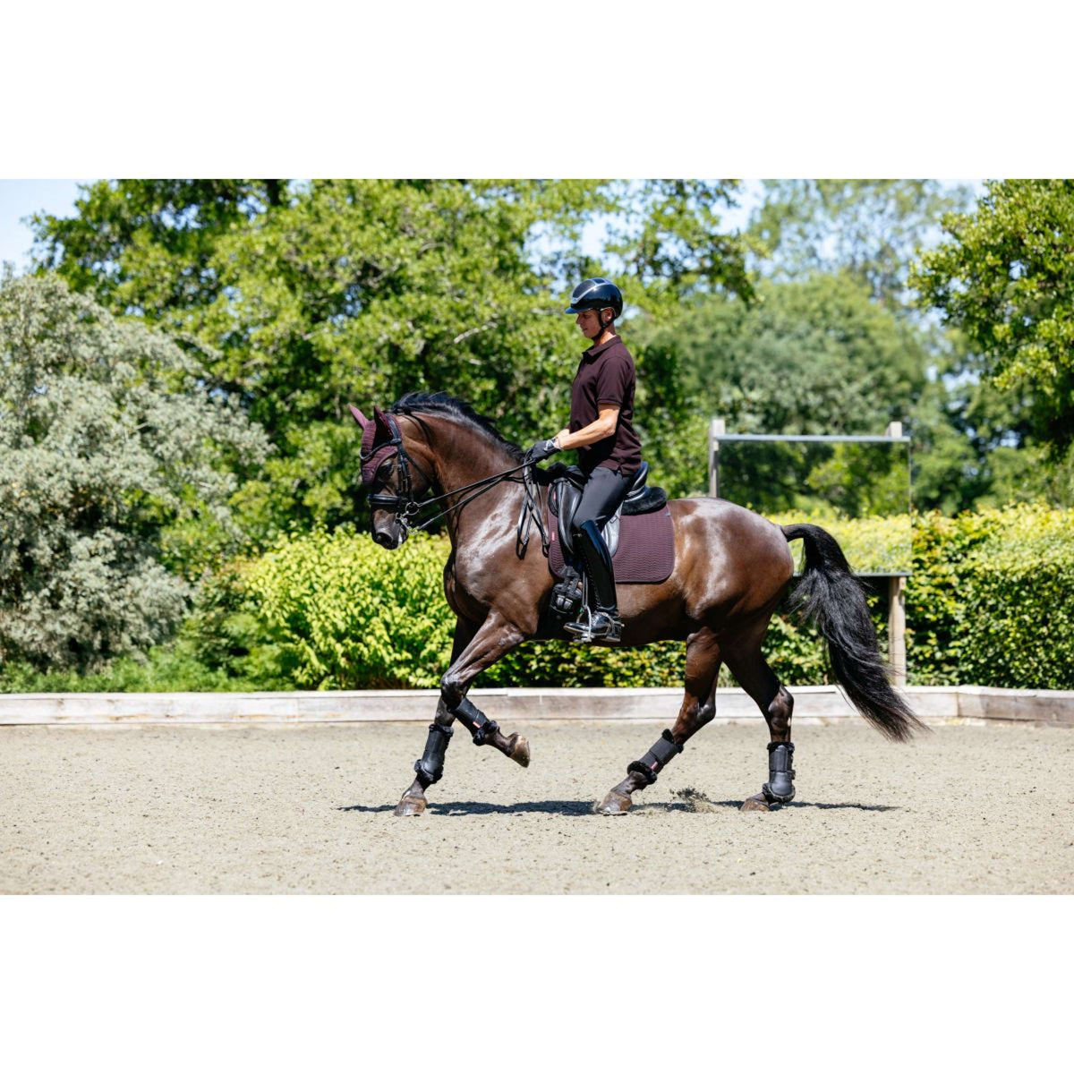 LeMieux Polo Classique Herren Damaszenerpflaume