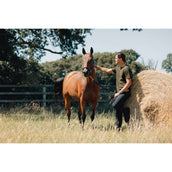 LeMieux T-Shirt Herren Alpine