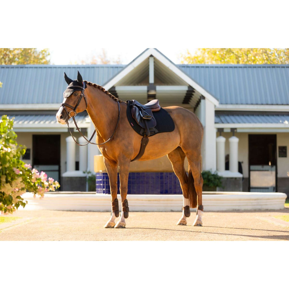 LeMieux Schabracke Essence Springen Schwarz