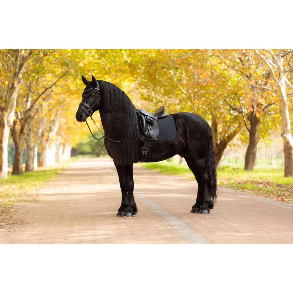 LeMieux Schabracke Essence Dressur Schwarz