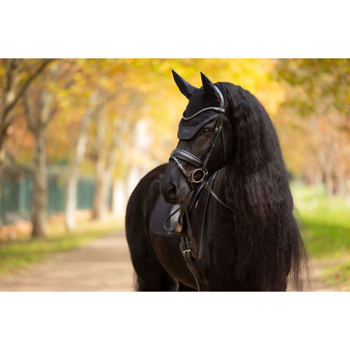 LeMieux Fliegenhaube Essence Schwarz