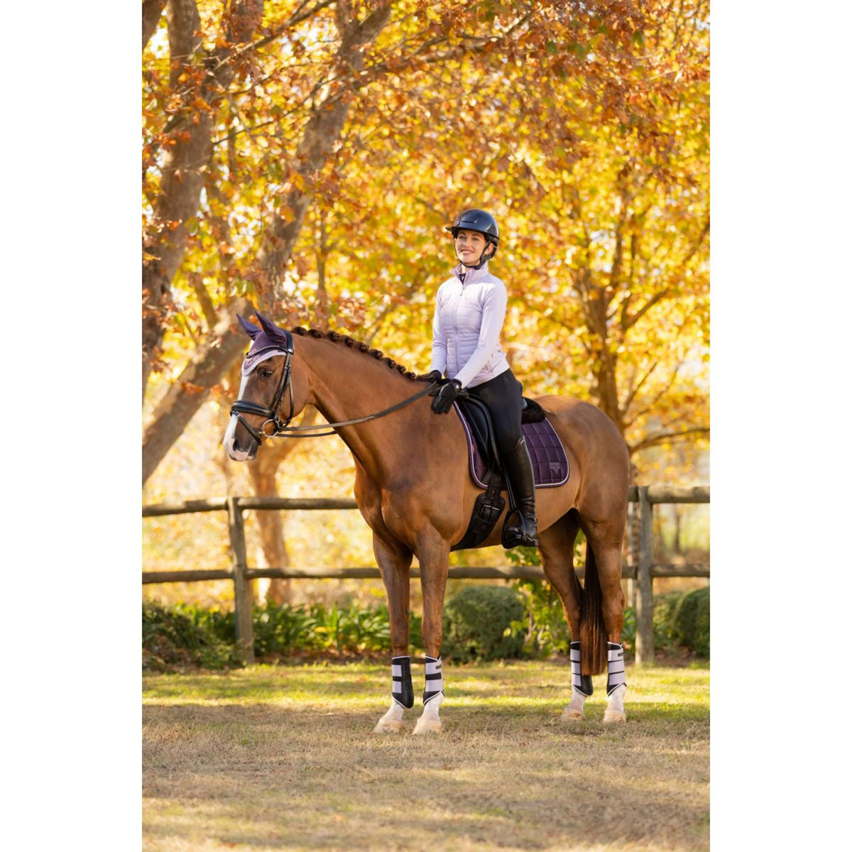 LeMieux Jacke Juliette Kurz Lila