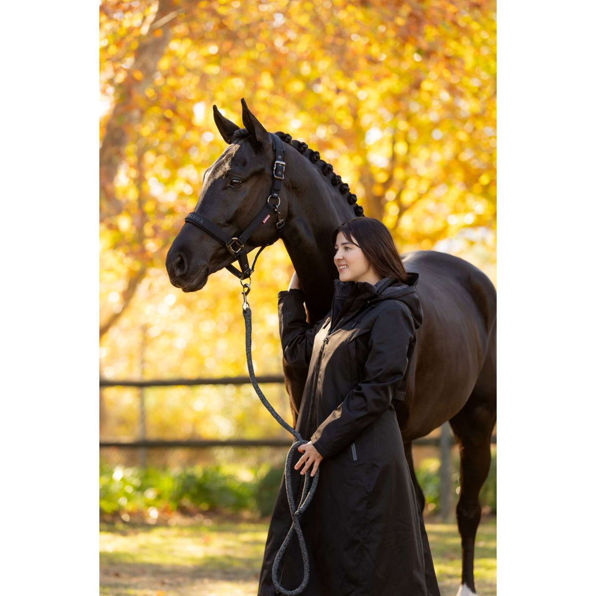 LeMieux Halfter Essence Schwarz