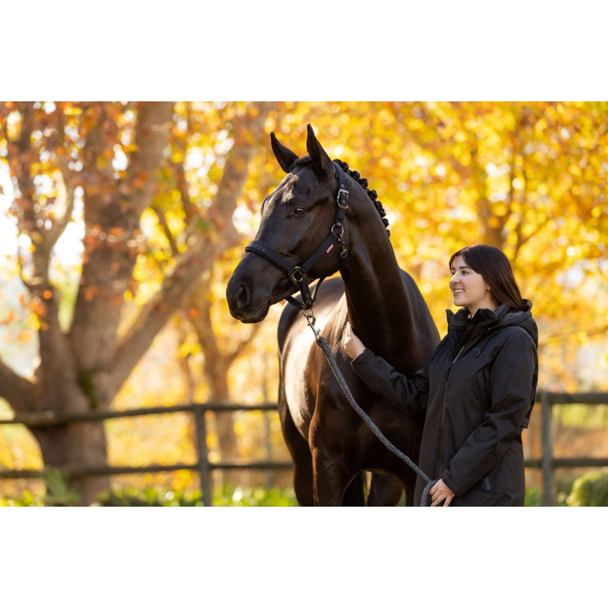 LeMieux Halfter Essence Schwarz