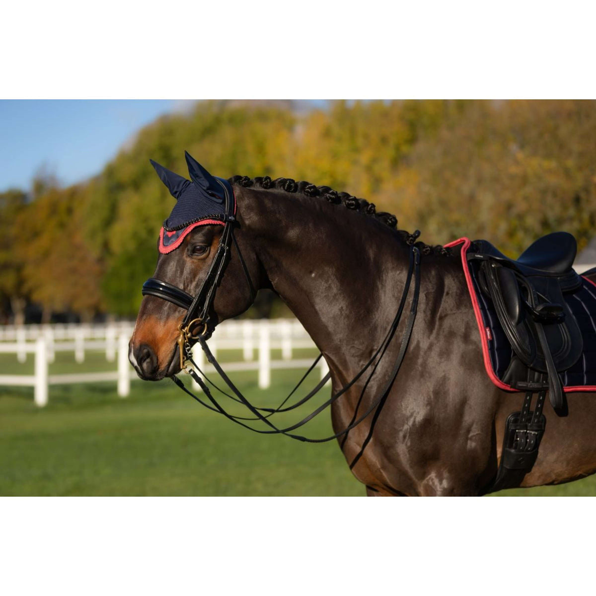 LeMieux Fliegenhaube Loire Navy/Cranberry