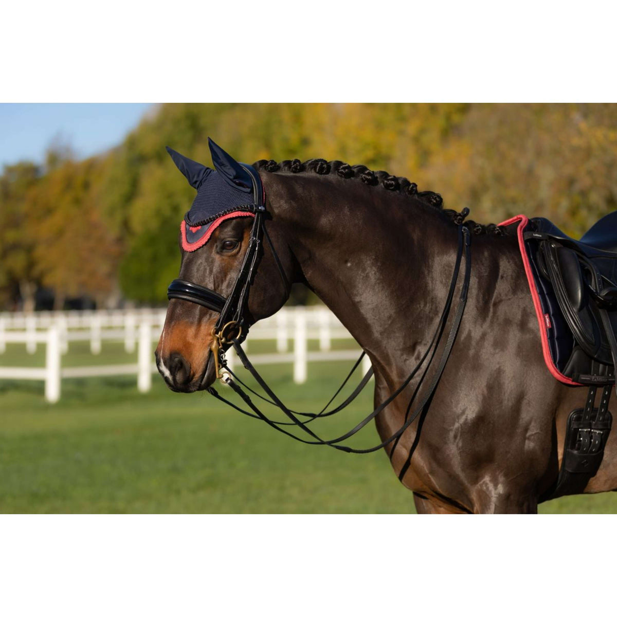 LeMieux Fliegenhaube Loire Navy/Cranberry