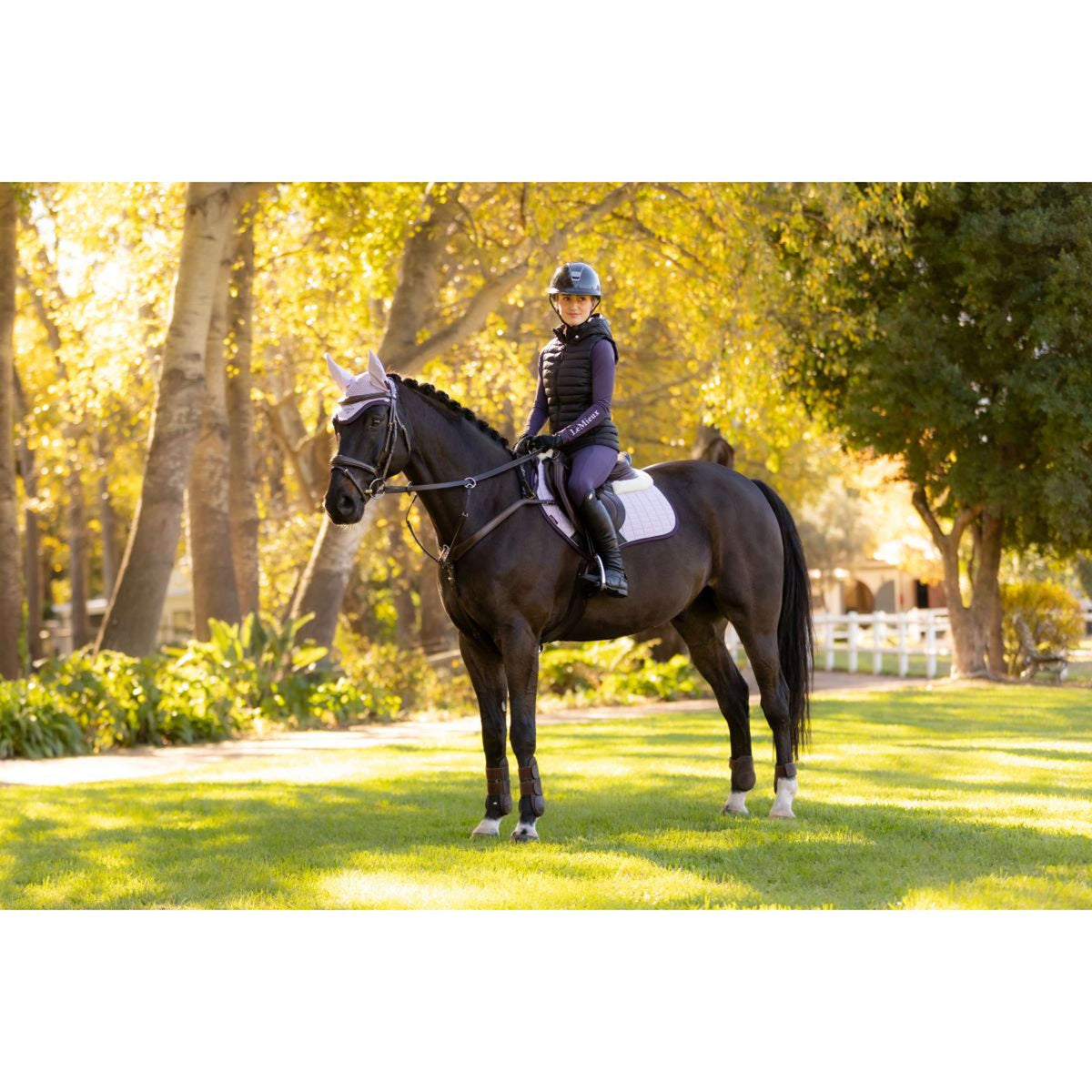 LeMieux Schabracke Merino Suede Springen Lila