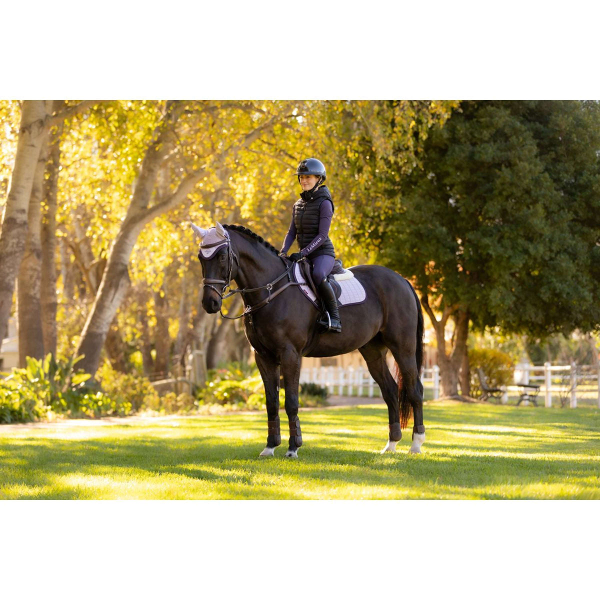 LeMieux Schabracke Merino Suede Springen Lila