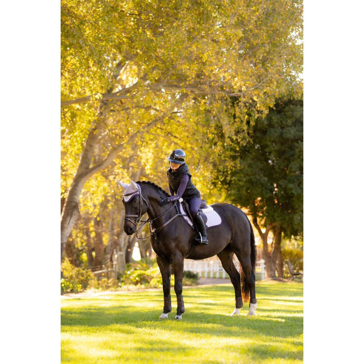LeMieux Schabracke Merino Suede Springen Lila