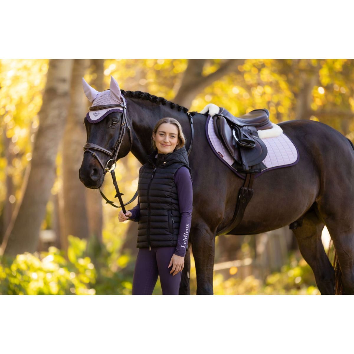 LeMieux Schabracke Merino Suede Springen Lila