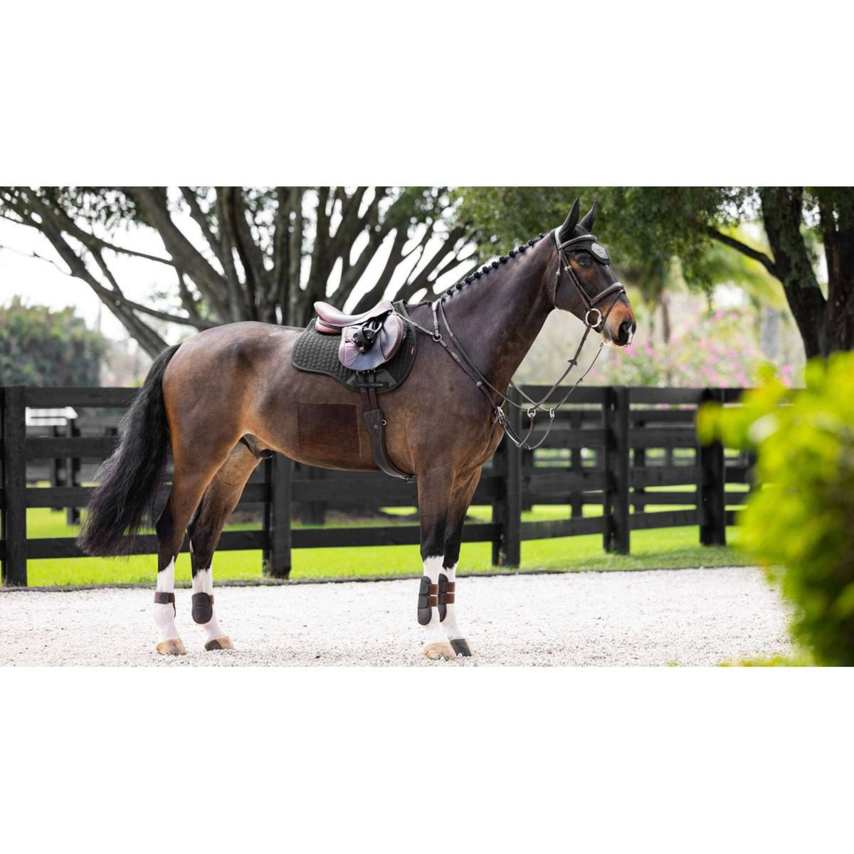 LeMieux Schabracke Prosorb Plain 2 Pocket Vielseitigkeit Schwarz